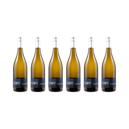Weißburgunder 2023 – 6er-Set (6× 750 ml)