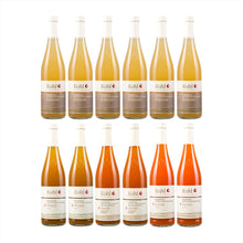 Kohl  Apfelsaft Sunshine 12er Paket