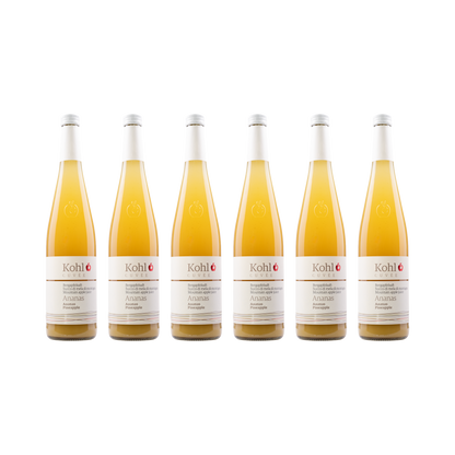 Apfelsaft mit Ananas – 6× 750 ml