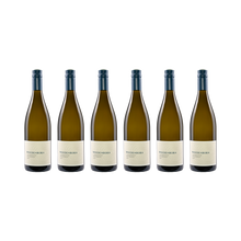 Chardonnay Westhofen 2021 — 6× 750 ml