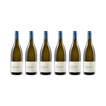 Sauvignon Blanc 2024 — 6× 750 ml