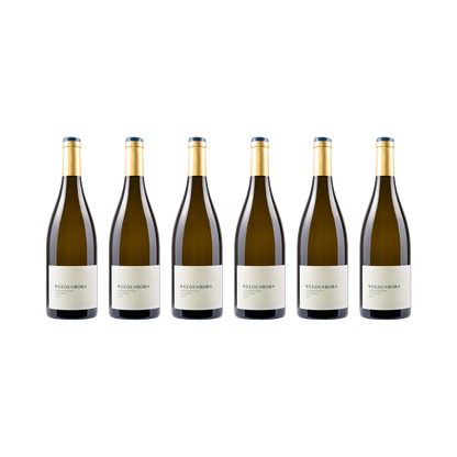 Chardonnay Réserve – 2021 — 6× 750 ml