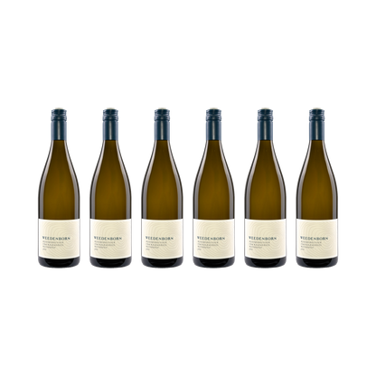 Weißburgunder vom Kalkmergel – 2021 — 6× 750 ml