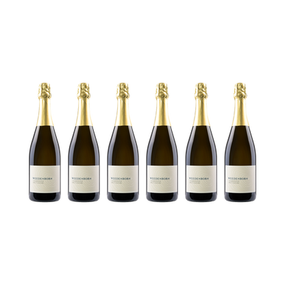 Chardonnay Brut Nature - 2016 — 6× 750 ml