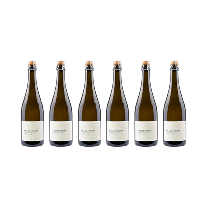 Sauvignon Blanc Brut Nature – 2021 — 6× 750 ml
