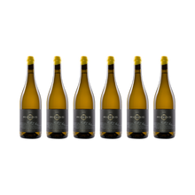 Kalk & Stein 2022 — 6× 750 ml