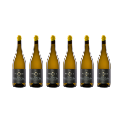 Kalk & Stein 2022 — 6× 750 ml