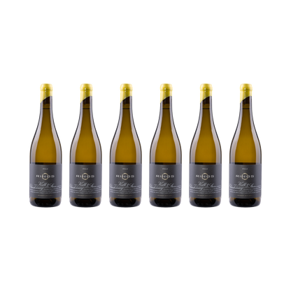 Kalk & Stein Chardonnay 2023 — 6× 750 ml