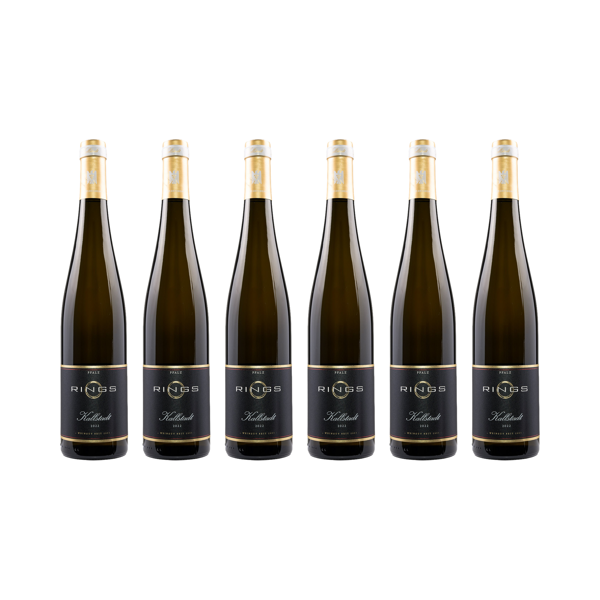 Kallstadt Riesling 2022 — 6× 750 ml