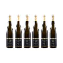 Kallstadt Riesling 2022 — 6× 750 ml