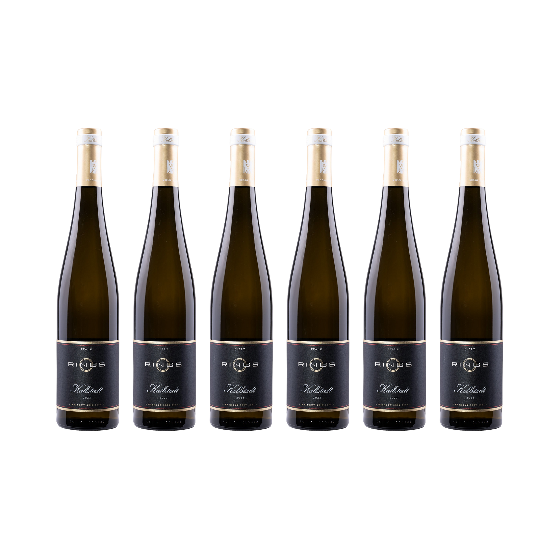 Kallstadt Riesling 2023 — 6× 750 ml