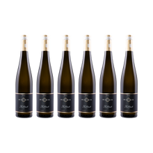 Kallstadt Riesling 2023 — 6× 750 ml
