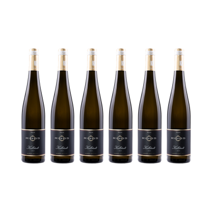 Kallstadt Riesling 2023 — 6× 750 ml