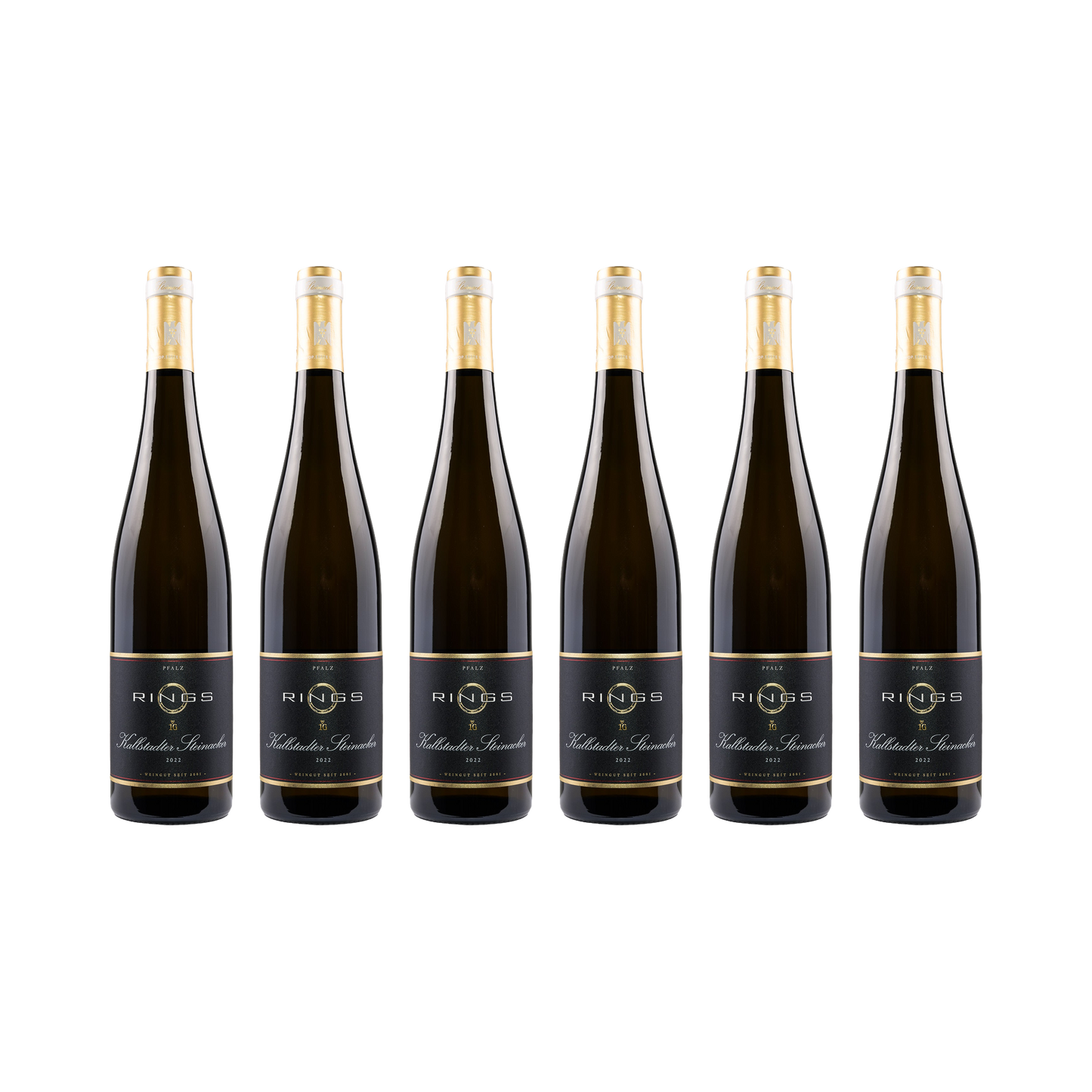 Kallstadter Steinacker Riesling 2022 — 6× 750 ml