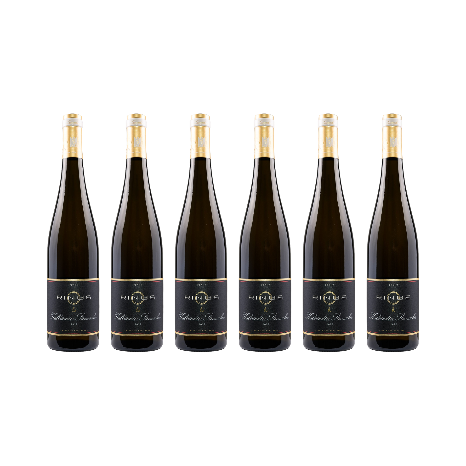 Kallstadter Steinacker Riesling 2022 — 6× 750 ml
