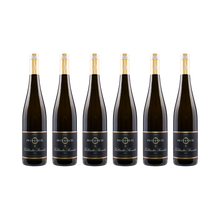 Kallstadter Steinacker Riesling 2022 — 6× 750 ml