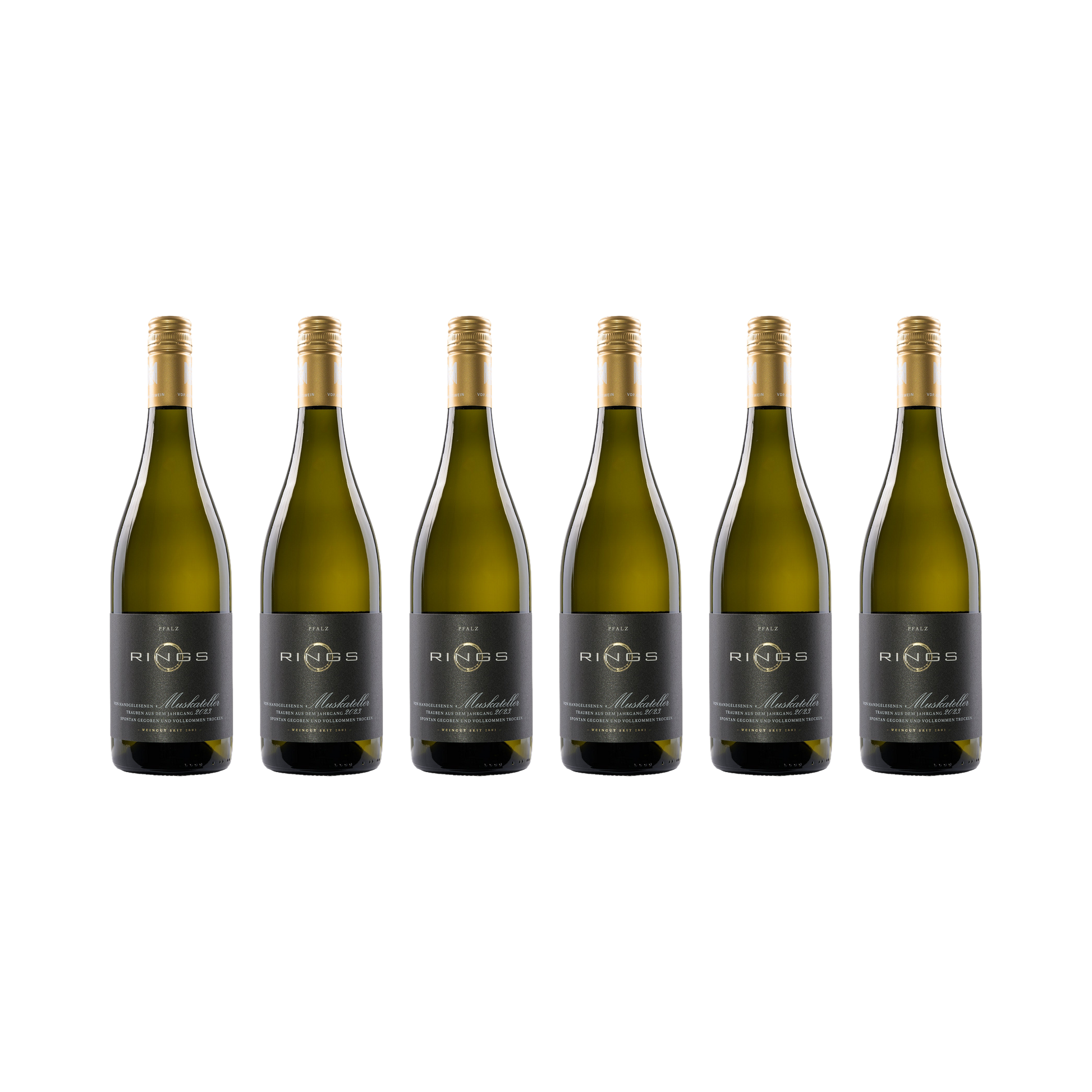 Muskateller 2023 — 6× 750 ml