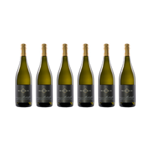 Muskateller 2023 — 6× 750 ml