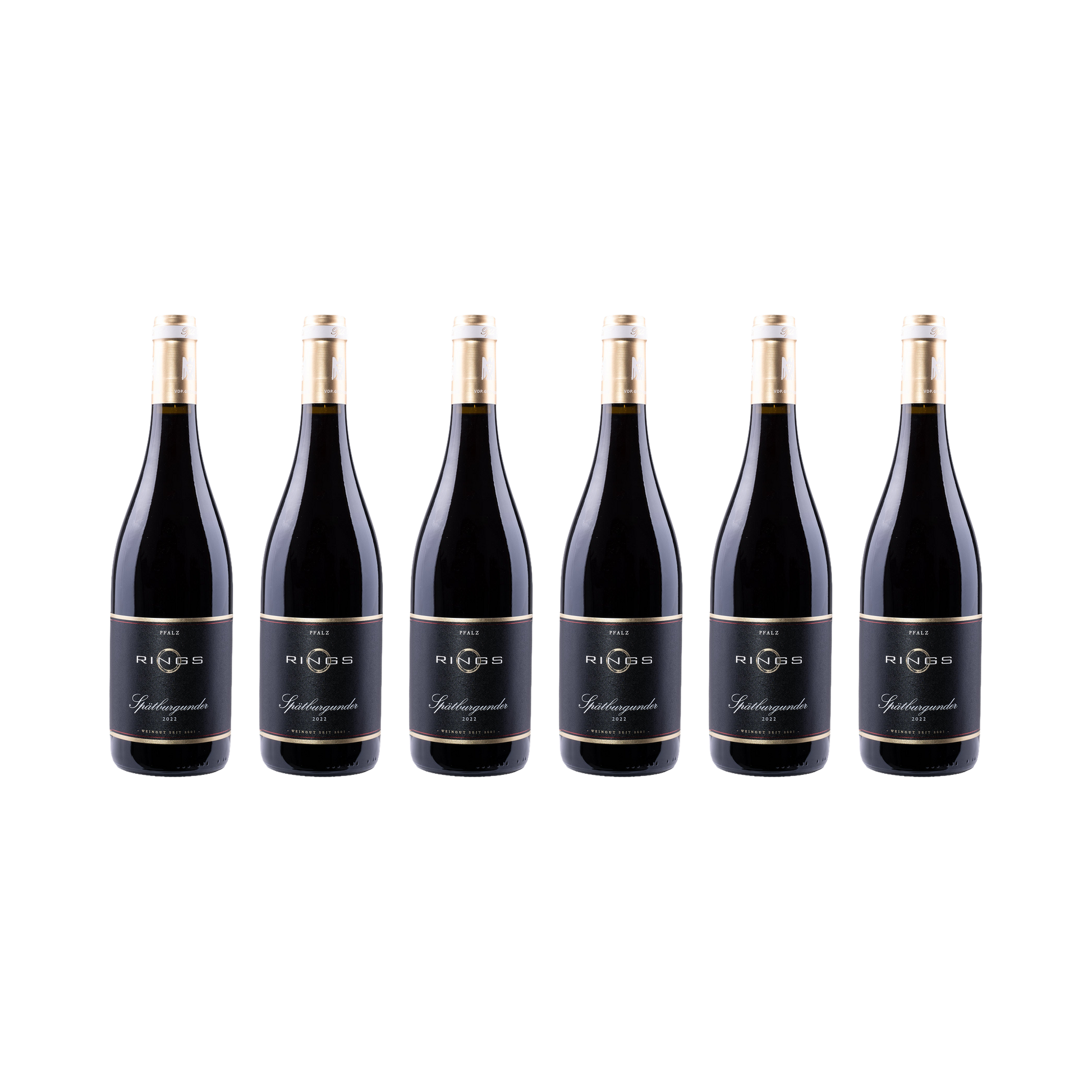Pfalz Spätburgunder 2022 — 6× 750 ml
