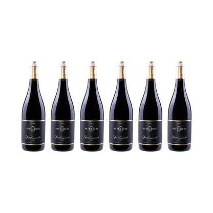 Pfalz Spätburgunder 2022 — 6× 750 ml