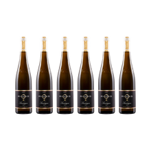 Saumagen Riesling GG 2021 — 6× 750 ml