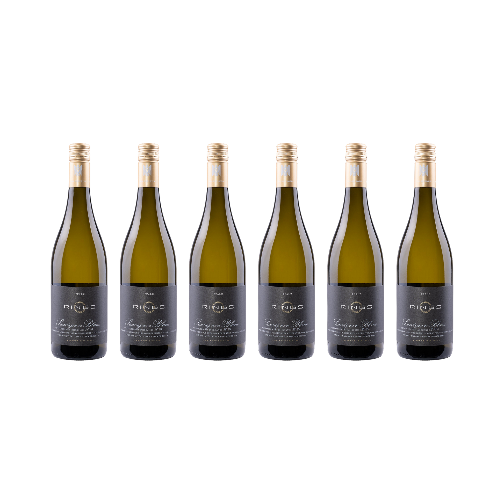 Sauvignon Blanc 2024 — 6× 750 ml