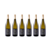 Sauvignon Blanc 2024 — 6× 750 ml
