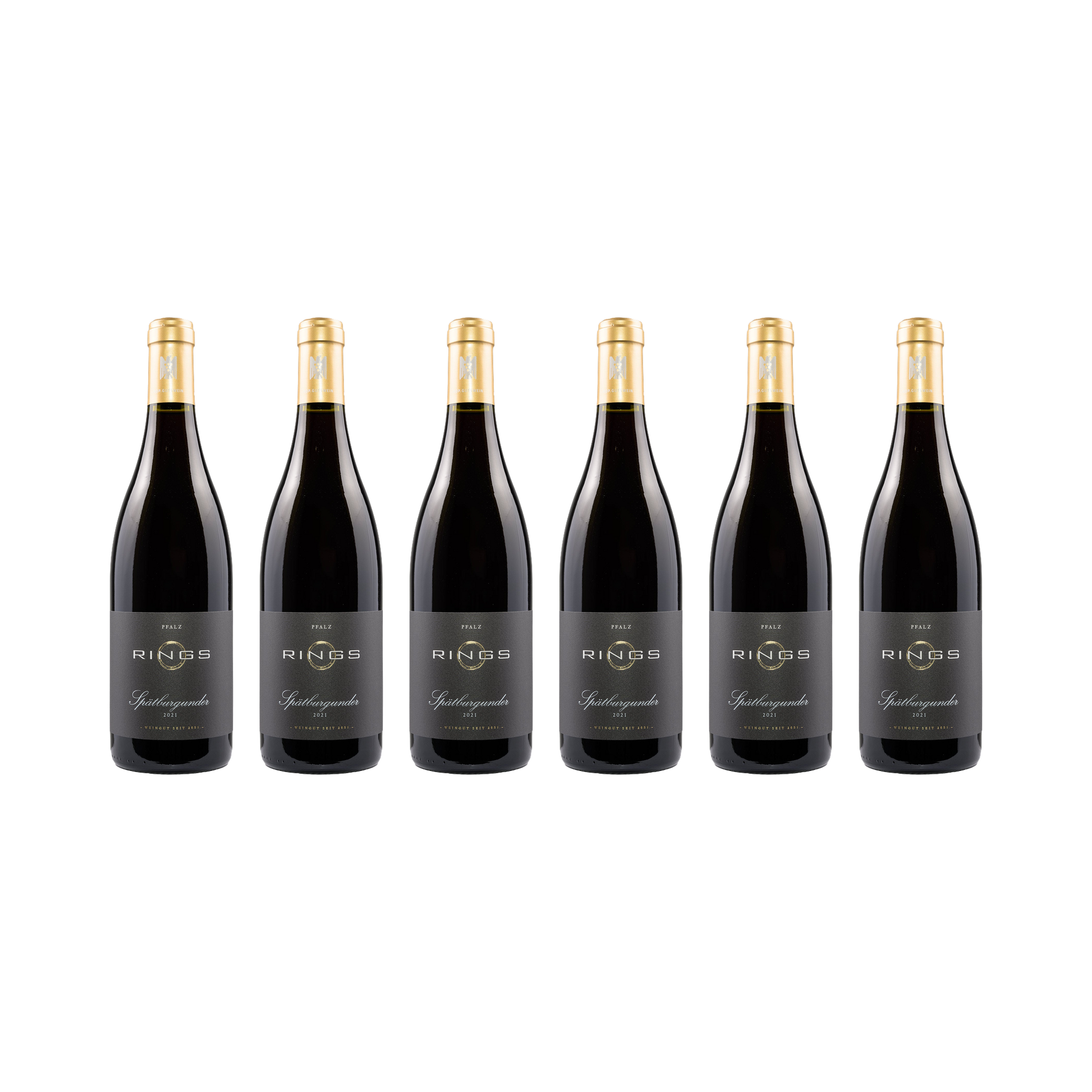 Pfalz Spätburgunder 2021 — 6× 750 ml