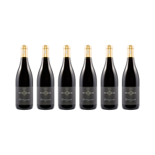 Pfalz Spätburgunder 2021 — 6× 750 ml