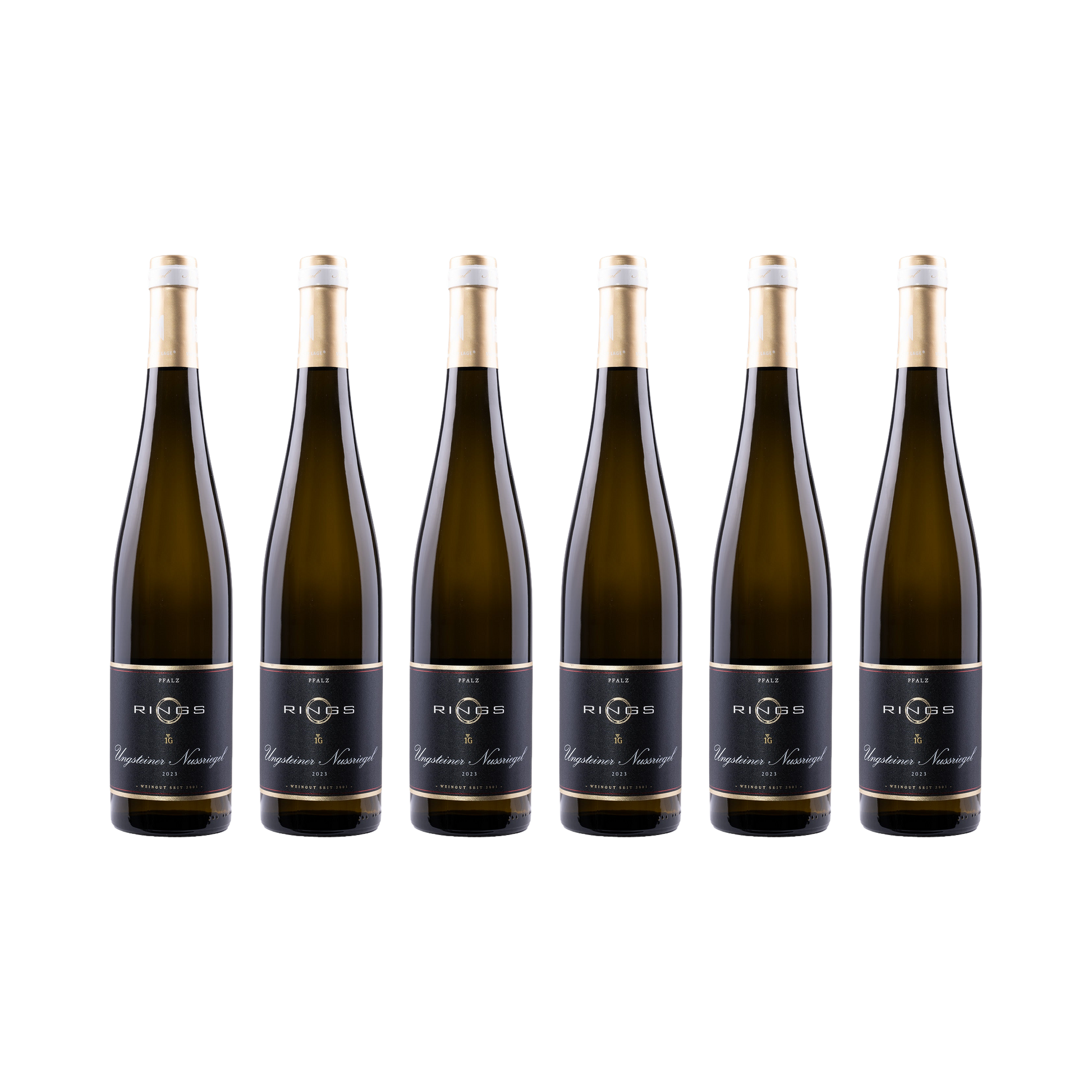 Ungsteiner Nussriegel Riesling 2023 — 6× 750 ml