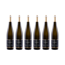 Ungsteiner Nussriegel Riesling 2023 — 6× 750 ml