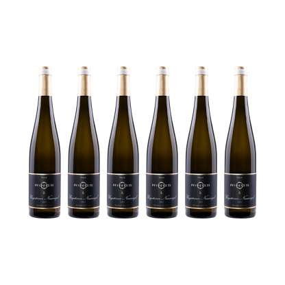 Ungsteiner Nussriegel Riesling 2023 — 6× 750 ml