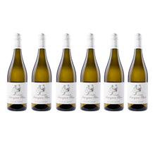 Oliver Zeter  Sauvignon Blanc 6er Set