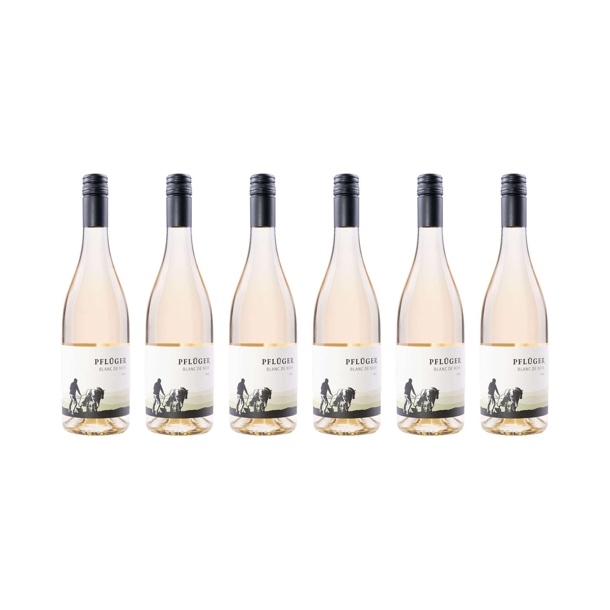 Blanc de Noir – 2025 – 6er Set