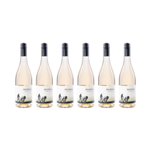 Blanc de Noir – 2025 – 6er Set