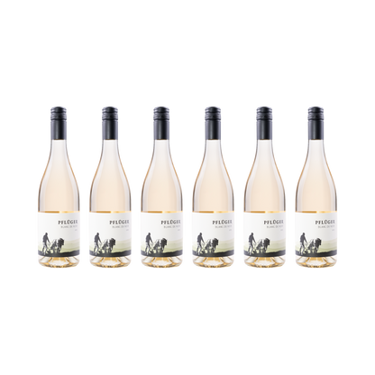 Blanc de Noir – 2025 – 6er Set