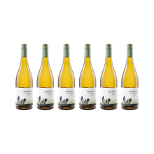 Chardonnay Quarzit – 2025 – 6er Set