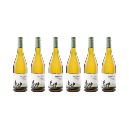 Chardonnay Quarzit – 2025 – 6er Set