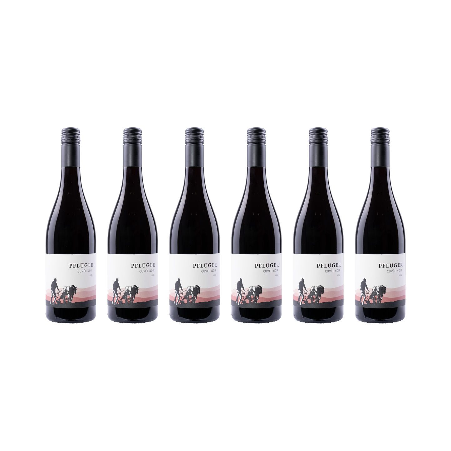 Cuvée Noir – 2024 – 6er Set