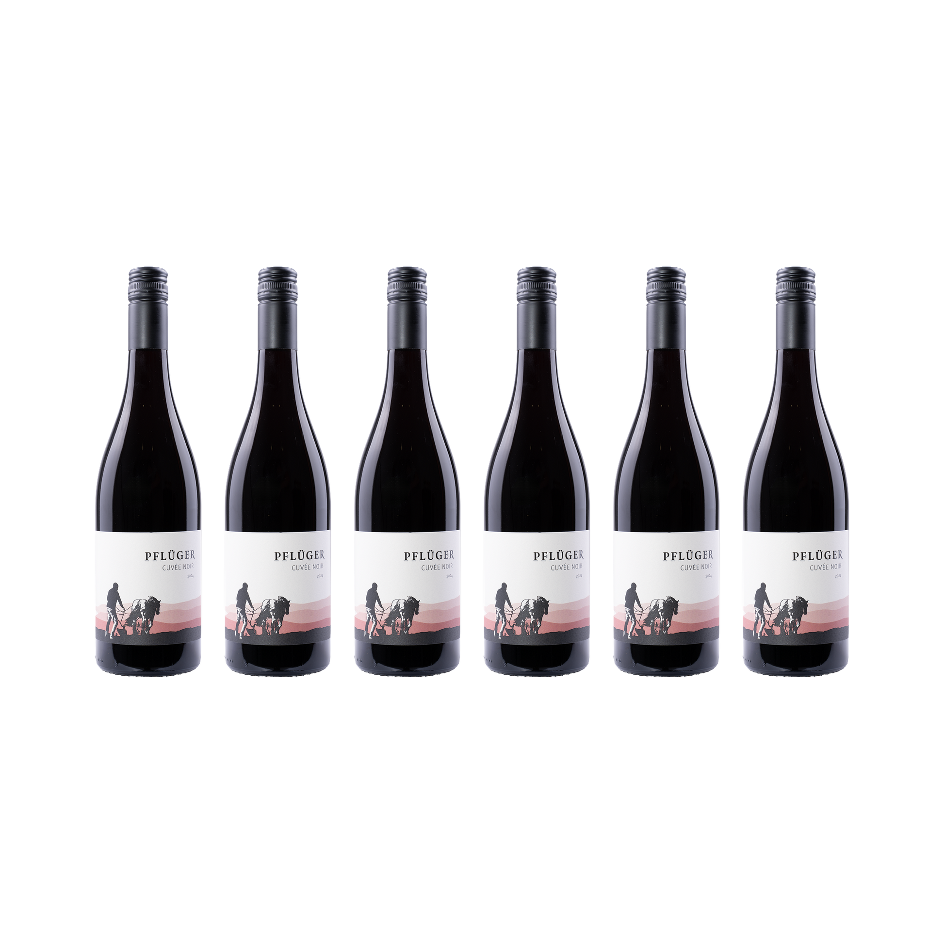 Cuvée Noir – 2024 – 6er Set