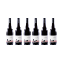 Cuvée Noir – 2024 – 6er Set
