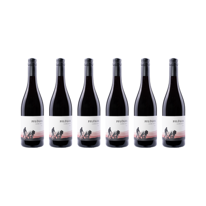 Cuvée Noir – 2024 – 6er Set