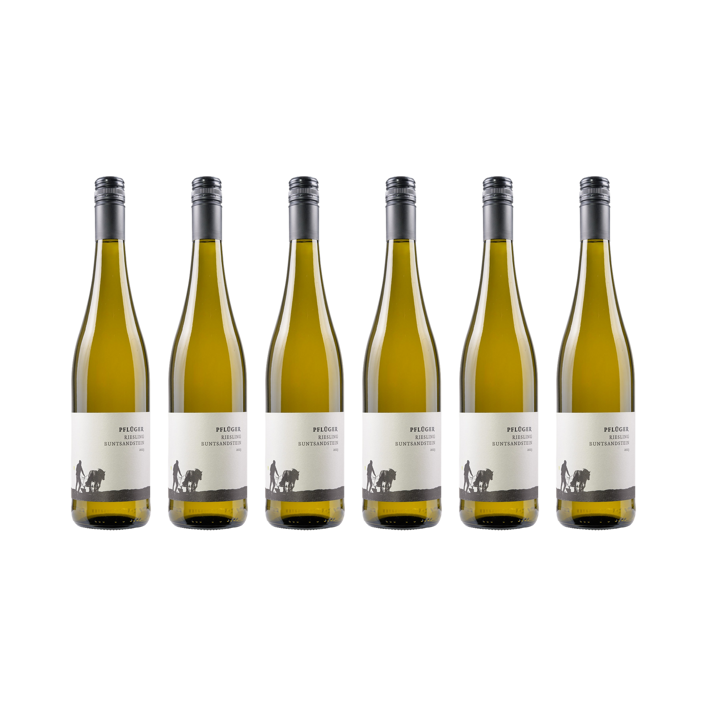 Riesling Buntsandstein – 2023 — 6× 750 ml