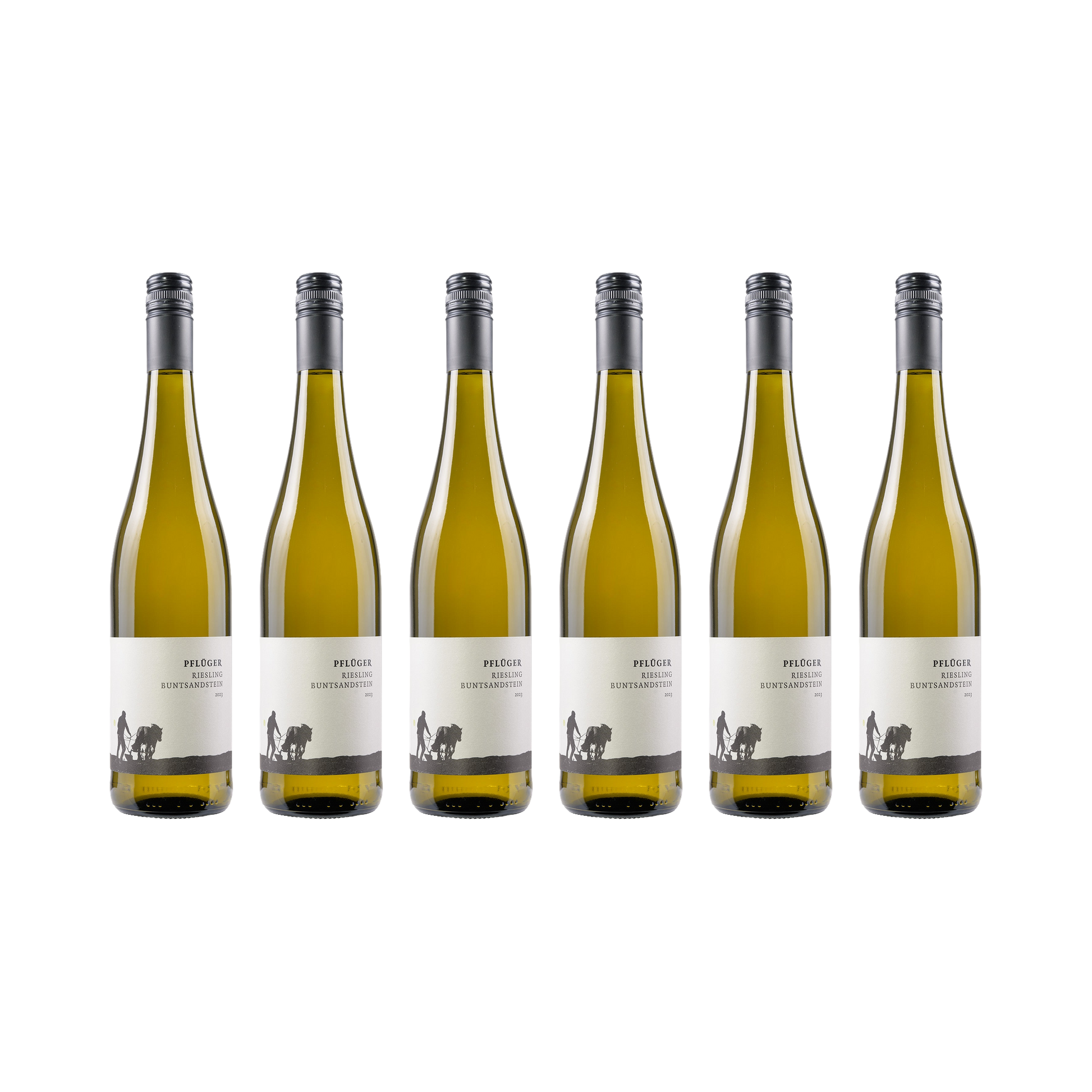 Riesling Buntsandstein – 2023 — 6× 750 ml