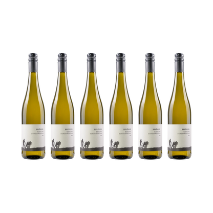 Riesling Buntsandstein – 2023 — 6× 750 ml