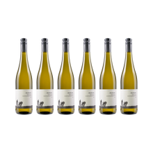 Riesling Buntsandstein – 2025 — 6× 750 ml
