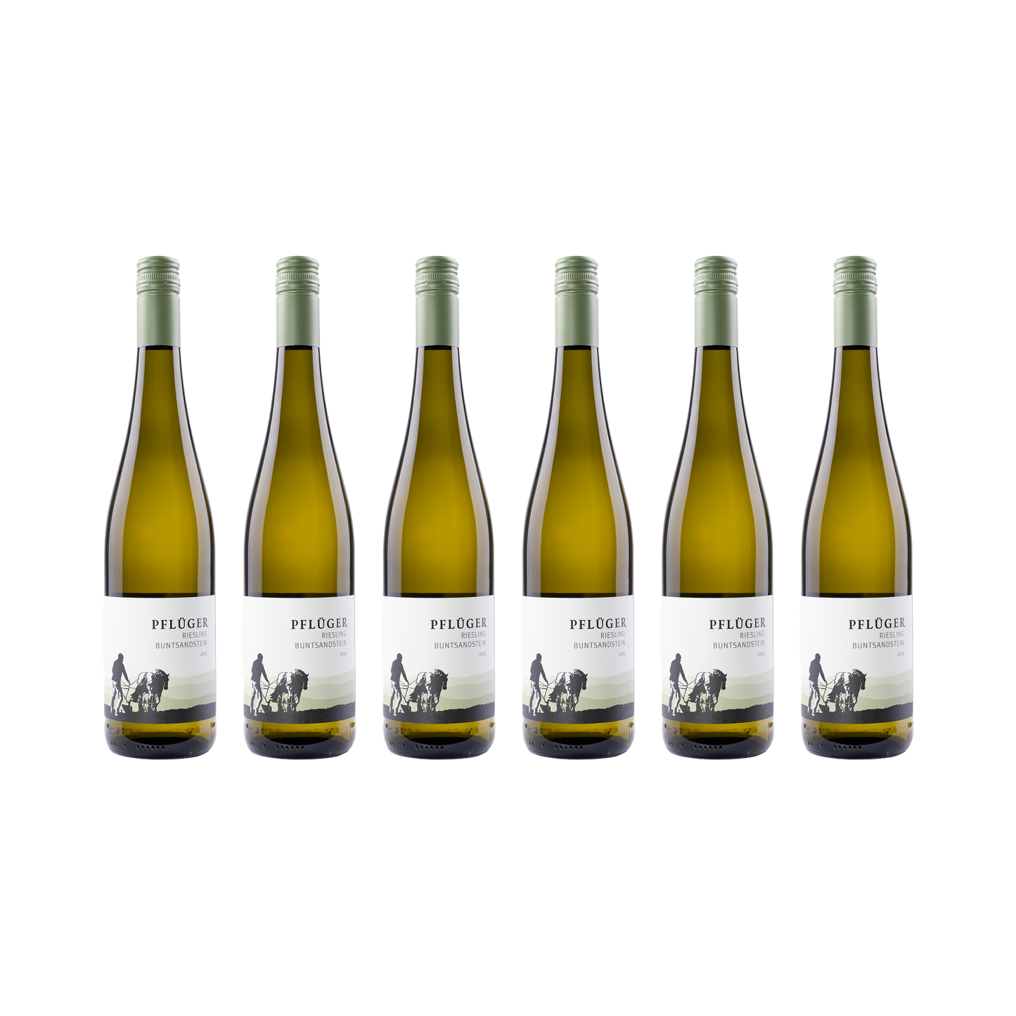 Riesling Buntsandstein – 2025 – 6er Set