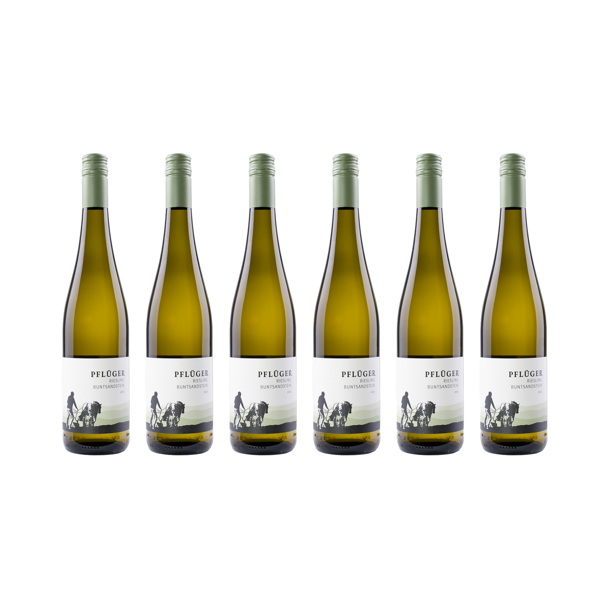Riesling Buntsandstein – 2025 – 6er Set