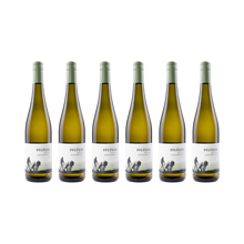 Riesling Buntsandstein – 2025 – 6er Set