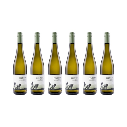 Riesling Buntsandstein – 2025 – 6er Set